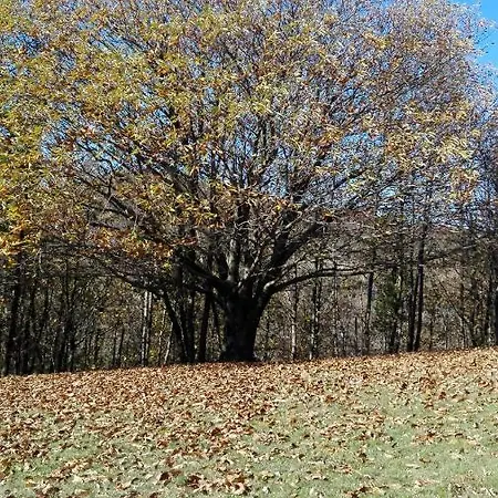 住宿加早餐酒店 Le Giutte *