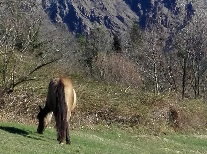 Le Giutte * メーレ